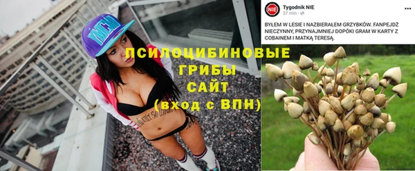 первитин Мегион
