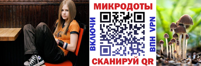 мега вход Домодедово Псилоцибиновые грибы ЛСД