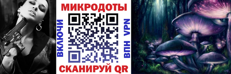 Галлюциногенные грибы Psilocybe Домодедово