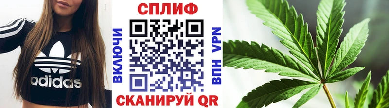 Бошки марихуана планчик  цена   Домодедово 